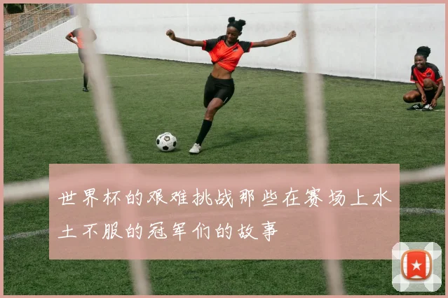 世界杯的艰难挑战那些在赛场上水土不服的冠军们的故事